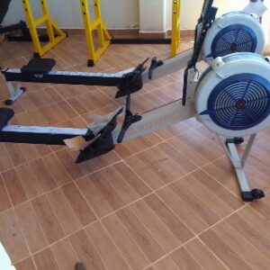 Commercial Air Rower