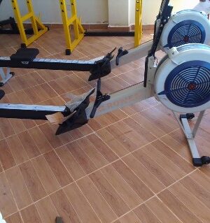 Commercial Air Rower